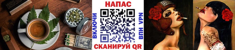 как найти   Жиздра  Печенье с ТГК марихуана 