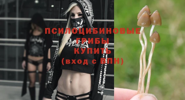 ПСИЛОЦИБИНОВЫЕ ГРИБЫ Абинск