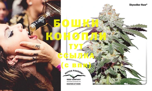 PSILOCYBIN Абаза