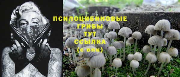 кокаин Алексеевка