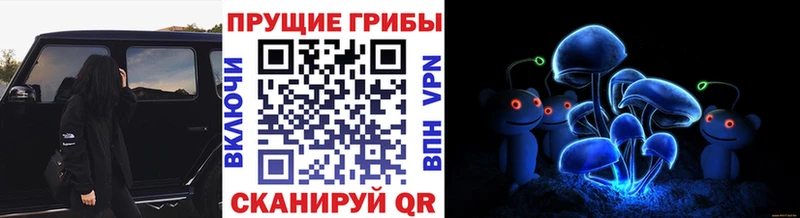 Псилоцибиновые грибы прущие грибы  Жиздра 